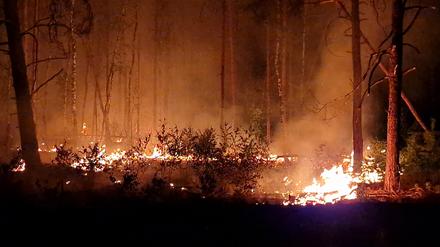 Flammen schlagen in die Höhe und Rauch steigt auf bei Nacht in einem Waldstück nahe Jüterbog. 
