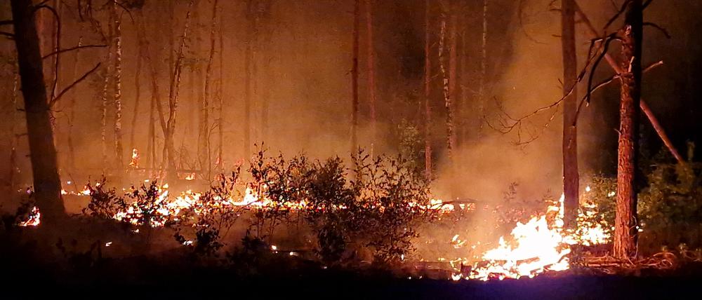 Flammen schlagen in die Höhe und Rauch steigt auf bei Nacht in einem Waldstück nahe Jüterbog.