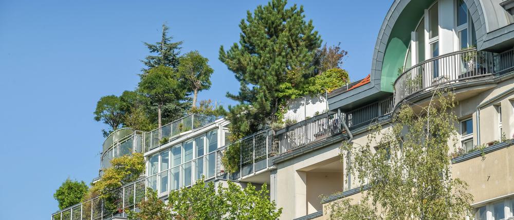 Es sollte viel mehr Dachbegrünung geben, fordern Naturschutzverbände.