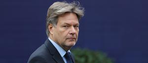 Bundeswirtschaftsminister Robert Habeck.