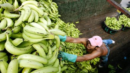 Ein Arbeiter entlädt Bananen auf einem Markt in Tegucigalpa, Honduras (Archivbild).