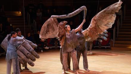 Händels "Aci, Galatea e Polifemo" im Berliner Boulez Saal