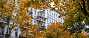 Herbstlich verfärbte Bäume entlang der Lychener Straße in Prenzlauer Berg
