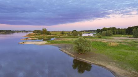 Eine Flusslandschaft der Elbe in Niedersachsen.