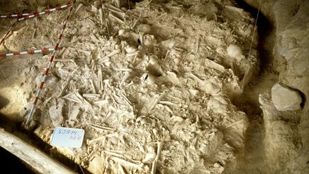 Knochenreste in der Grabstätte in einer nordspanischen Höhle vor der Ausgrabung.