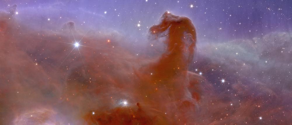 Pferdekopf im Sternentstehungsgebiet des Orion.