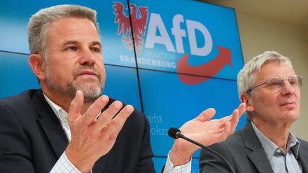 07.11.2023, Brandenburg, Potsdam: Philip Zeschmann (l), ehemals Fraktionsmitglied von BVB/Freie Wähler, spricht während einer Pressekonferenz der AfD im Brandenburger Landtag neben Hans-Christoph Berndt, Brandenburger AfD-Fraktionsvorsitzender. Foto: Soeren Stache/dpa +++ dpa-Bildfunk +++