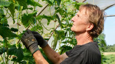 Bio-Landwirt Hans-Peter Strahl vom „Kleinen Hof im Spreewald“ ist eine der Initiativen der Klimawandel-Ausstellung.