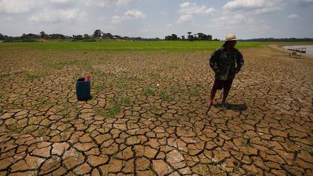 Dürre in Brasilien, hier am Solimoes-Fluss.