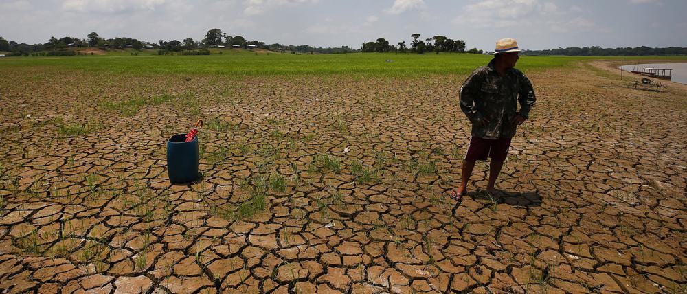 Dürre in Brasilien, hier am Solimoes-Fluss.