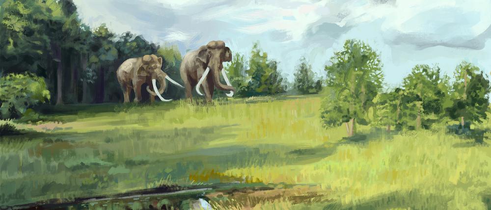 Vor rund 120.000 Jahren hielten große Pflanzenfresser viele Wälder in Europa offen.