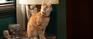 Goose the Flerken in Marvel Studios' THE MARVELS. Photo by Laura Radford. © 2023 MARVEL.