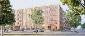 Visualisierung Neubau der Pro Potsdam Slatan-Dudow-Straße, 230 Wohnungen, Gebäude als Holzhybridkonstruktion, "Kollektiver Block“ von blrm Architekt*innen 