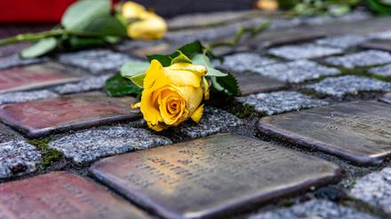 Blumen liegen auf ·Stolpersteinen (Symbolbild).