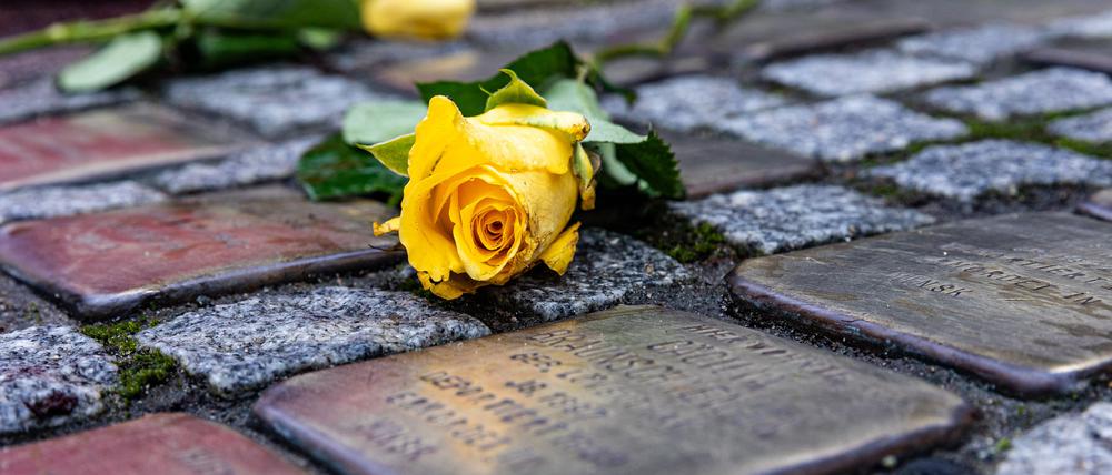 PRODUKTION - 07.11.2023, Hessen, Frankfurt/Main: Blumen liegen auf ·Stolpersteinen·, die auf einem Bürgersteig in Frankfurt an Jüdinnen und Juden erinnern, die zur NS-Zeit deportiert wurden. Unterdessen hatte die Initiative Stolpersteine Frankfurt zum Putzen der Gedenksteine aufgerufen. «Frankfurts Stolpersteine sollen zum 9. November wieder glänzen», erklärte der Koordinator der Initiative, Martin Dill. Für die Reinigung der Messingplatten mit den Namen und Lebensdaten der Opfer seien alle gebräuchlichen Putzmittel für Metalle geeignet. Scharfe Hilfsmittel wie Drahtbürsten sollten dagegen nicht verwendet werden. Am Gedenktag selbst sei auch das Niederlegen von Blumen oder das Aufstellen von Lichtern an den Steinen eine würdige Form des Gedenkens. Foto: Sascha Lotz/dpa +++ dpa-Bildfunk +++