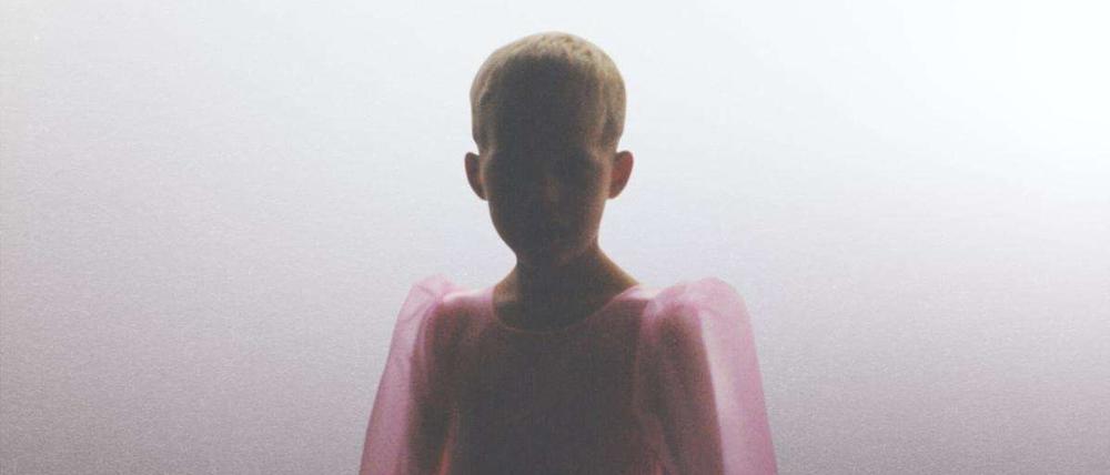 All-Diese-Gewalt_Glitterhouse_Plattencover