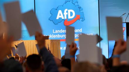 Auf dem Landesparteitag der AfD wird über einen Antrag abgestimmt. (Symbolfoto)