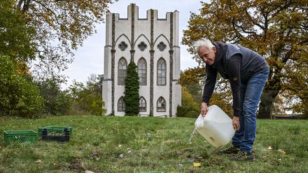 Thomas Dürbye vom Botanischen Garten gießt frisch gepflanzte Duftskabiosen vor der Meierei auf der Pfaueninsel. 