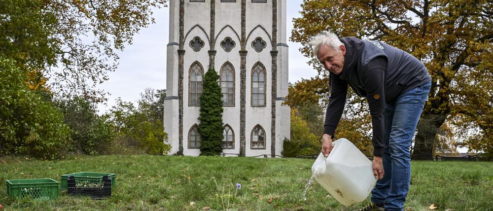 Thomas Dürbye vom Botanischen Garten gießt frisch gepflanzte Duftskabiosen vor der Meierei auf der Pfaueninsel.