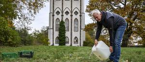 Thomas Dürbye vom Botanischen Garten gießt frisch gepflanzte Duftskabiosen vor der Meierei auf der Pfaueninsel. 