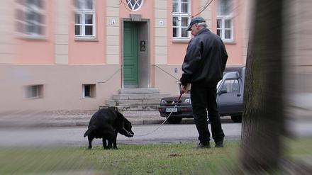 Hundeverordnung, Hundekot, Spaziergänger mit Hund. (Klaer)