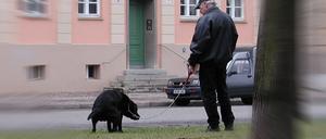 Hundeverordnung, Hundekot, Spaziergänger mit Hund. (Klaer)