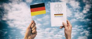 Nationalflagge und Grundgesetz (Illustration) 