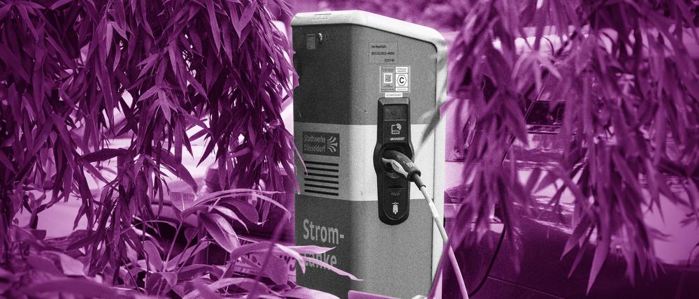Unter anderem an E-Auto-Ladesäulen zeige sich, dass die deutsche KIimasubventionspolitik auf den oberen Mittelstand ausgerichtet sei, sagt Brigitte Knopf. Sie ist seit 2015 Generalsekretärin des Klimainstituts MCC Berlin und seit 2020 stellvertretende Vorsitzende des Expertenrats für Klimafragen. Die promovierte Physikerin forscht zu Klimaökonomie und Energiepolitik mit Schwerpunkt auf der sozial gerechten Ausgestaltung der Energiewende.