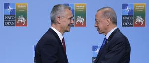 Nato-Generalsekretär Jens Stoltenberg und der türkische Recep Tayyip Erdogan beim Nato-Gipfel in Vilnius, Litauen, am 11. Juli 2023.