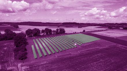 Bäuerinnen und Bauern haben mit zunehmender Dürre zu kämpfen, nicht nur in Brandenburg. Sie passen sich an den Klimawandel unter anderen mit Agri-Photovoltaik-Anlagen an, unter denen Tiere und Pflanzen Schutz finden.