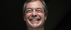 Der frühere Chef der Ukip-Partei, Nigel Farage (Archivbild).