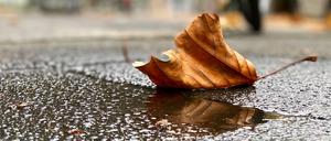 Auch zur Wochenmitte dominiert der Prognose des Deutschen Wetterdienstes zufolge weiter das Novembergrau.