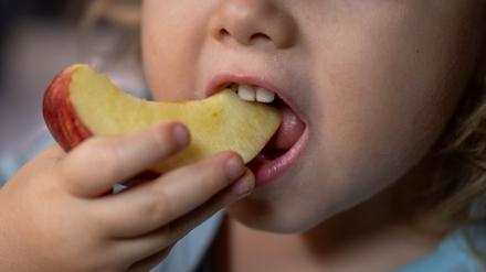 Gelangweilte Kinder futtern mehr – viel mehr, wie eine Studie zeigt.