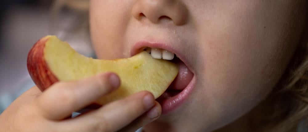Gelangweilte Kinder futtern mehr – viel mehr, wie eine Studie zeigt.