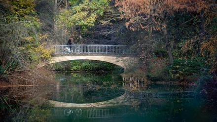 Eine Radfahrerin fährt im Sonnenschein über eine Brücke im Tiergarten.