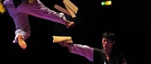 Importiert. Ein Taekwondo-Team aus Südkorea bei einem Auftritt in Hamburg. 