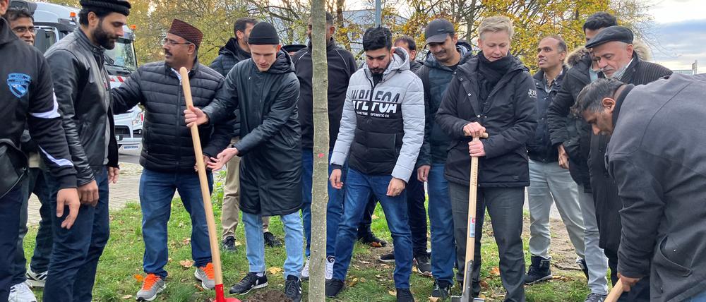 Baumpflanzung der Ahmadiyya Muslim Jamaat-Gemeinschaft in Heinersdorf. Rechts Bezirksbürgermeisterin Cordelia Koch, links Louis Krüger.