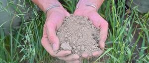 Ein Landwirt zeigt mit seinen Händen trockene Erde in einem Haferfeld. Mit drastischen Zahlen weisen Fachleute auf die gesundheitlichen Folgen der Klimakrise hin.