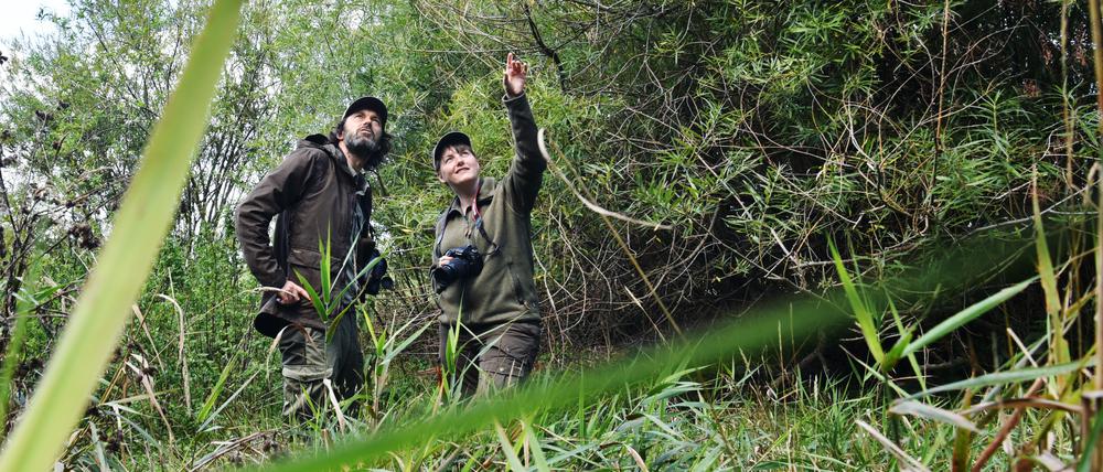 Naturranger erfüllen eine wichtige Rolle beim Schutz der Biosphärenreservate. 