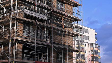 Am Wieselkiez steht Potsdams erster Gebäudekomplex in Holzmodulbauweise.