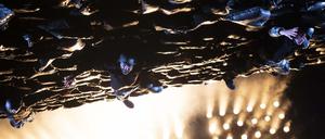 „Prinz Friedrich von Homburg“ von Jette Steckel, hier mit Renato Schuch, Bastian Reiber, Jule Böwe, Holger Bülow (v.l.n.r.).