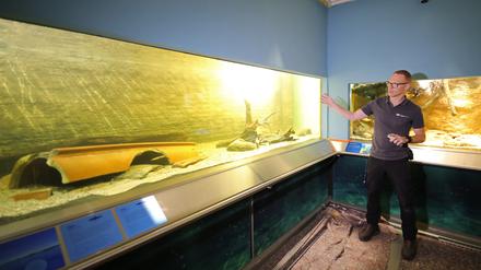 Museumsdirektor Jobst Pfaender präsentiert die neu sanierten Becken.