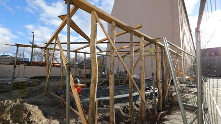 Das Holz für Proto Potsdam stammt unter anderem aus den Stadtwäldern von Templin und Prenzlau. 