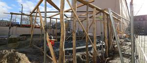Das Holz für Proto Potsdam stammt unter anderem aus den Stadtwäldern von Templin und Prenzlau. 