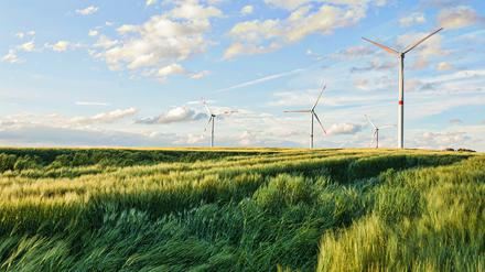 A beautiful shot of wind turbines under the cloudy sky in the Eiffel region, Germany
Verwendung nur online für "Themenspezial Bühne"