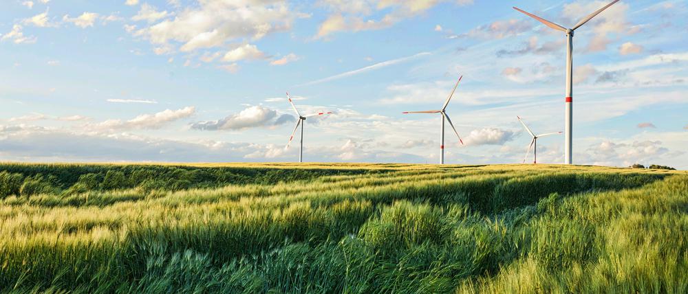 A beautiful shot of wind turbines under the cloudy sky in the Eiffel region, Germany
Verwendung nur online für "Themenspezial Bühne"