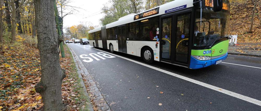 Die zu enge Busspur am Brauhausberg