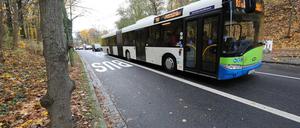 Die zu enge Busspur am Brauhausberg
