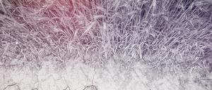 In London treffen sich an diesem Montag Regierungen, internationale Organisationen und Unternehmen zum Global Food Security Summit.