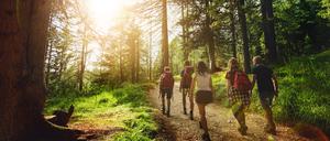 Lange Wanderungen und andere körperliche Hausforderungen gehören zur Praxis der Waldorf-Pädagogik.